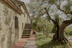 a tree next to a building with a staircase at Agriturismo Il Mulino delle canutole in Magione