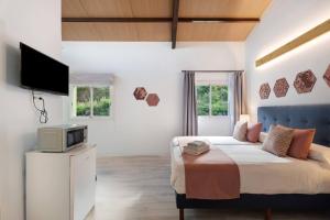ein Schlafzimmer mit einem Bett und einem TV in der Unterkunft Comfort apartment Casa Lomo El Aire Acevino with outdoor pool in Tegueste