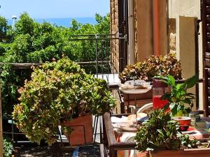 un patio con mesas y macetas en un balcón en B&B "Le Quattro Stagioni", en Agrigento