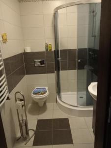 a bathroom with a shower and a toilet and a sink at Villa pod gruszą in Połom Mały