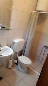 bagno con servizi igienici e lavandino di Apartmani Stolac a Stolac