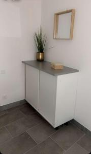 a white cabinet with a mirror and a potted plant on it at Apparemment t3 au cœur champenois in Charly-sur-Marne