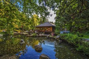 un jardin avec un étang et une cabane en rondins dans l'établissement Hotel Marinela Sofia, à Sofia