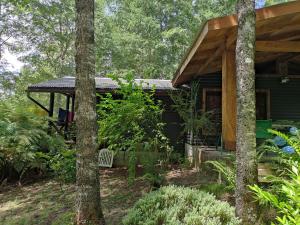 una casa en el bosque con árboles en Relun Lodge en Villarrica