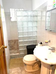 a bathroom with a toilet and a sink at Golden View in St Mary