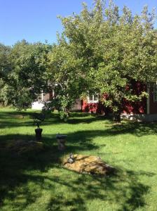 En trädgård utanför Gemütliches schwedisches Landhaus mit großem Garten inmitten von Wiesen und Obstbäumen