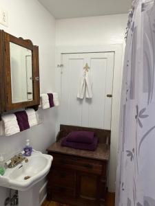 een badkamer met een wastafel en een douchegordijn bij Inn on Fox Meadow - Spacious Victorian Inn in Gaithersburg