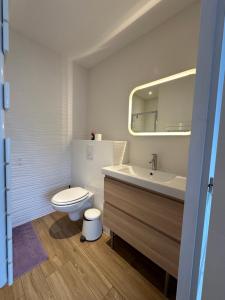 uma casa de banho com um WC, um lavatório e um espelho. em Villa MA&VA em Lacanau-Océan