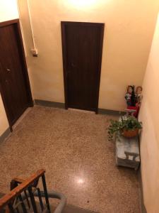 um corredor com uma porta, uma cadeira e uma planta em STATION AND AiRPORT ROOM'S em Pisa