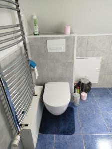Chambre jaune avec salle de bain collective في كلوز: مرحاض أبيض في حمام به بلاط أزرق