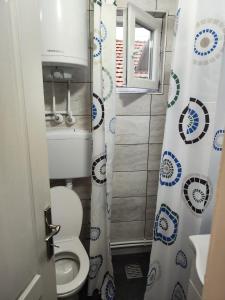 La salle de bains est pourvue de toilettes et d'un rideau de douche. dans l'établissement Snezana home, à Vranje