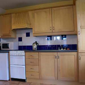 a kitchen with white appliances and wooden cabinets at Sheraton Lodge Apartments T12 E309 in Cork