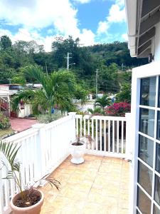 聖瑪麗的住宿－Golden View，白色栅栏上种植盆栽的阳台