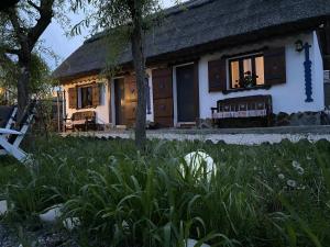 a house with a thatched roof and a bench in front of it at Casa Soarelui in Murighiol