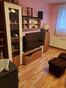 a living room with a flat screen tv in a entertainment center at Marie in Ludgeřovice