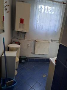a small bathroom with a toilet and a window at Marie in Ludgeřovice +11 photos