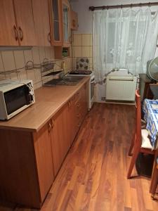 a kitchen with a microwave on top of a counter at Marie in Ludgeřovice
