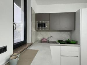 eine Küche mit einer Spüle und einer Mikrowelle in der Unterkunft RESIDENCE MARCO POLO in Montesilvano