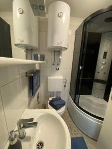 La salle de bains est pourvue d'un lavabo, de toilettes et d'un miroir. dans l'établissement Apartment Bilic, à Split