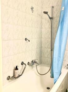 bañera con ducha y cortina de ducha azul en Studio Anémones, meublé, équipé, Monthey, en Monthey