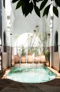 a pool in the middle of a building with potted plants at Riad Sashema in Marrakesh