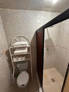 La salle de bains est pourvue d'une douche et de toilettes. dans l'établissement Casa cómoda y bonita, à Monterrey