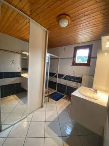a bathroom with a sink and a mirror at La maison de Louise in Bians-les-Usiers