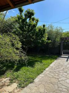 un patio con un banco y un árbol y césped en Apartman Radmila en Jagodina