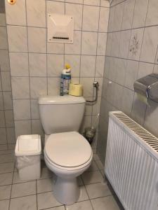 a bathroom with a white toilet and a radiator at Gästehaus Lumesberger in Grein +12 photos