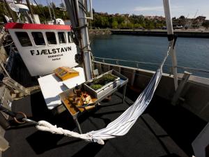 a hammock on the side of a boat in the water at Unique Boat Accomodation - Bornholm - Fjælstavn in Hasle