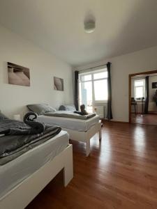 two beds in a room with wooden floors at 4 May Plaza in Bratislava