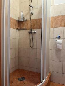 une salle de bain avec une douche avec une porte vitrée dans l'établissement 4 May Plaza, à Bratislava