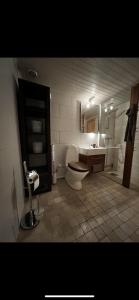 a bathroom with a toilet and a sink at Badstue, 3 soverom, nytt bad og kjøkken i Åre in Åre
