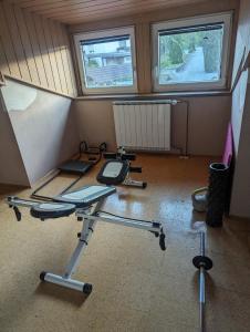 a room with a room with a treadmill and two windows at Dragon's Lair in Celje