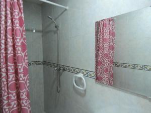 Un baño con ducha con espejo y urinario. en Duplex casco historico, en Calatayud