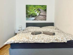 ein Schlafzimmer mit einem Bett mit zwei Kissen darauf in der Unterkunft Quiet 60 m2 Apartment with Free Parking in Wien