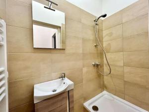 ein Bad mit einem Waschbecken, einem Spiegel und einer Dusche in der Unterkunft Quiet 60 m2 Apartment with Free Parking in Wien