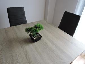 Una mesa de comedor con una planta en maceta encima. en Duplex casco historico, en Calatayud
