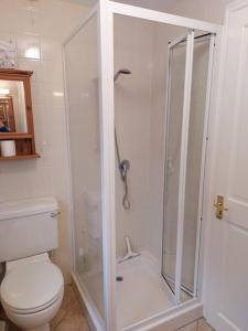 a bathroom with a toilet and a glass shower at Cheerful, cosy, one bedroom home with patio and parking in Newbury +13 photos