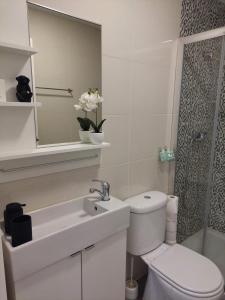 a bathroom with a toilet and a sink and a mirror at Casa de Baixo in Paredes de Coura