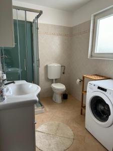 ein Badezimmer mit einem Waschbecken und einer Waschmaschine in der Unterkunft Apartament Sanja Novigrad in Dajla