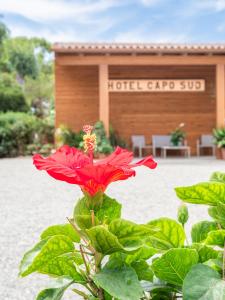 Сад в Hotel Capo Sud