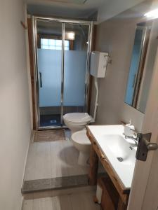 a bathroom with a shower and a toilet and a sink at La Ghita in Sparone