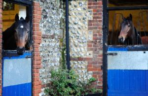 FindonTullamore Dew Glamping Pod的相册照片 更多3张照片