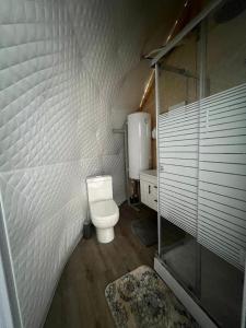 Kúpeľňa v ubytovaní Glamping Machakhela