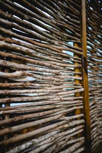 Foto sihtkohas Le Lamentin asuva majutusasutuse Cocoonhuts Résidences Martinique galeriist