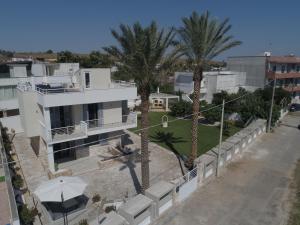 an aerial view of a house with palm trees at A casa di Sofia in Porto Cesareo