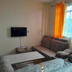 ein Wohnzimmer mit Sofas und einem Flachbild-TV in der Unterkunft Georgia Furnished Apartments in Machakos