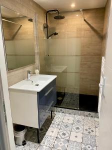 ein Bad mit einem Waschbecken und einer Dusche in der Unterkunft Duplex 1 chambre in Chalamont