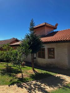 蒙特沃德的住宿－Casa Recanto Beija Flor, Monte Verde，前面有一棵树的房子